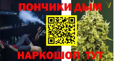 шишки Жуковский