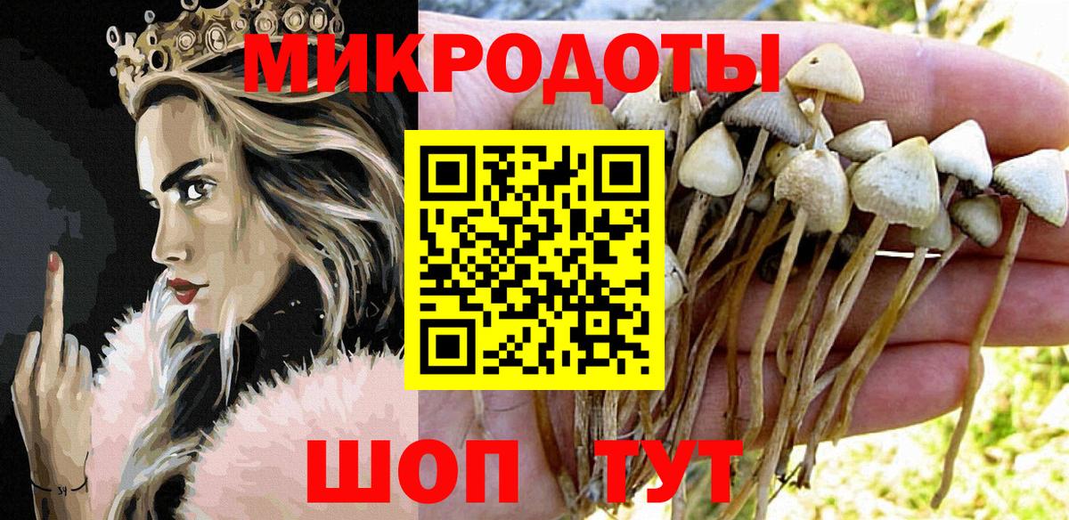 Псилоцибиновые грибы Psilocybine cubensis  Вход с VPN  Псилоцибиновые грибы Psilocybe  Магадан 