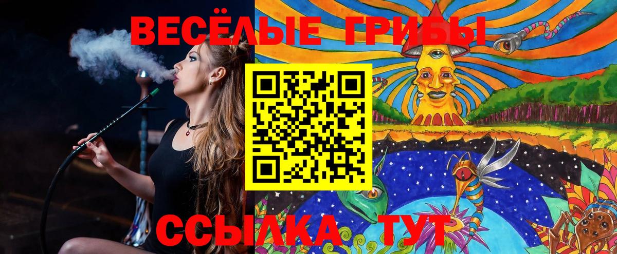 Псилоцибиновые грибы мухоморы Магадан